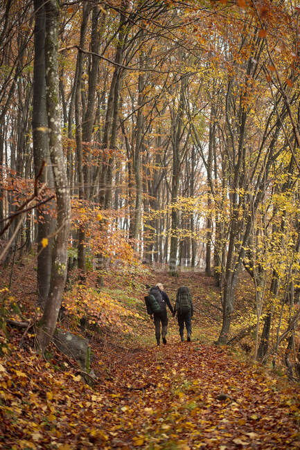 Caminhadas de casal na floresta durante o outono — Fotografia de Stock