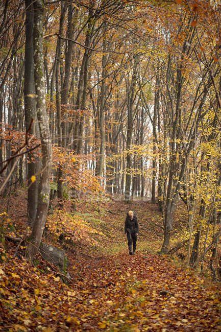 Mulher caminhando na floresta durante o outono — Fotografia de Stock