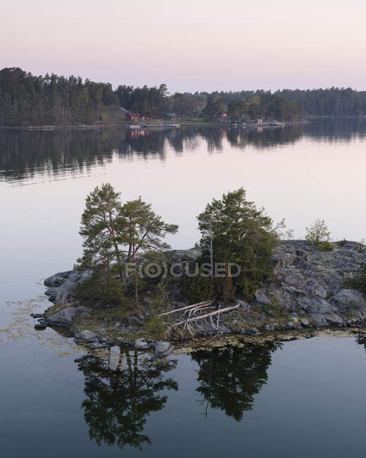 Bäume auf Insel im See — Stockfoto