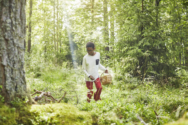 Boy with basket in forest — Stockfoto