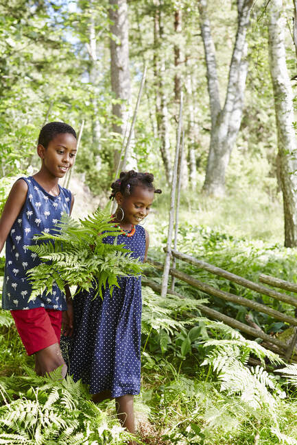 Siblings in forest in summer — Stockfoto