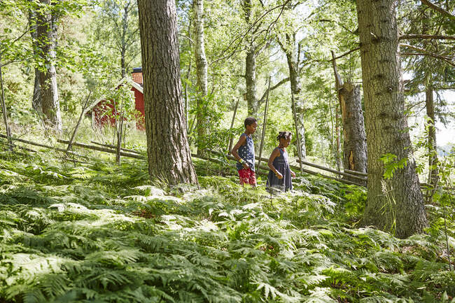 Siblings in forest in summer — Foto stock