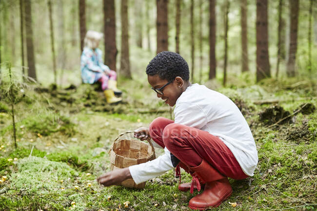 Niño con cesta recogiendo setas en el bosque - foto de stock