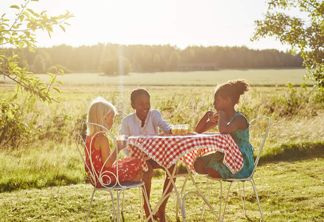 Братья и сёстры сидят за столом для пикника на закате — стоковое фото