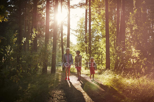 Family walking in forest at sunset — Foto stock