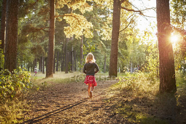 Girl walking in forest at sunset — Foto stock