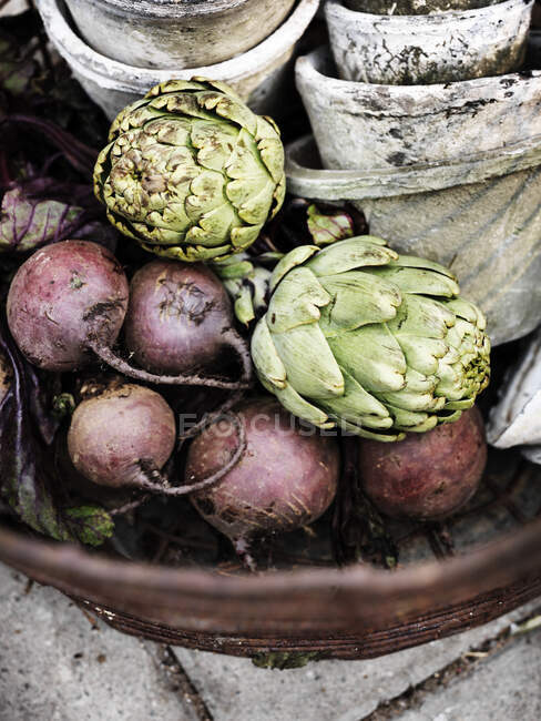 Artichokes and beets in flower pot — Stock Photo