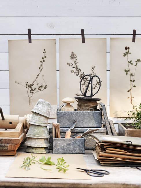 Herramientas de jardinería sobre mesa en invernadero - foto de stock