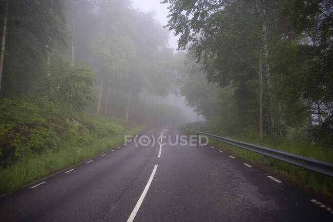 Scenic view of Highway through forest — Fotografia de Stock