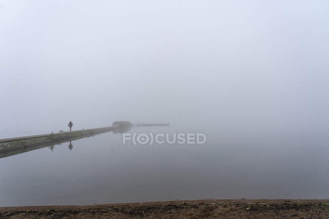 Mujer distante caminando en el camino a través del lago en la niebla - foto de stock