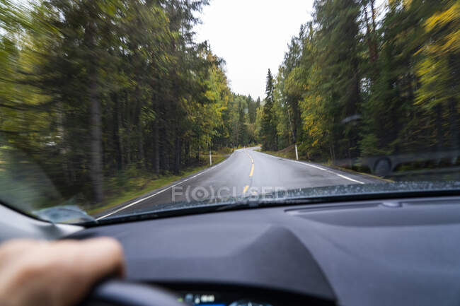 Driver's point of view on highway through forest — Stock Photo