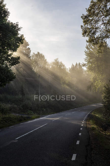 Vue panoramique de l'autoroute à travers la forêt — Photo de stock