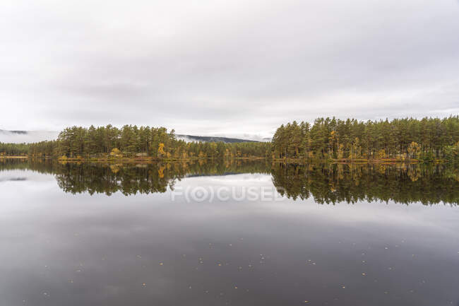 Árboles reflejados en el lago - foto de stock