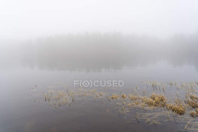 Nevoeiro sobre lago em Narke, Suécia — Fotografia de Stock