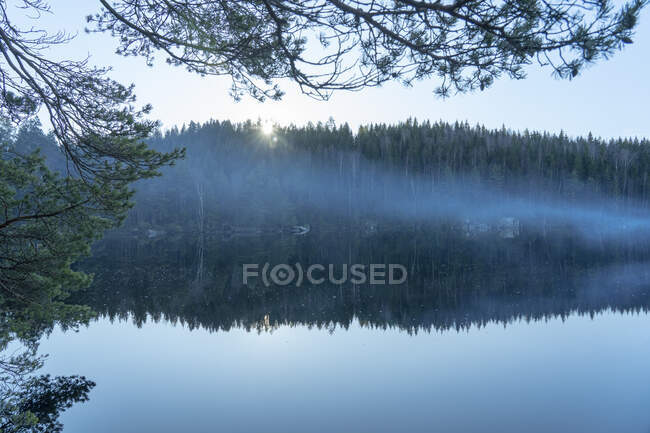 Oxsjon lake em Suecia — Fotografia de Stock