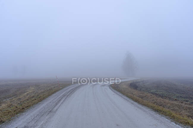 Autoroute et arbres dans le brouillard — Photo de stock