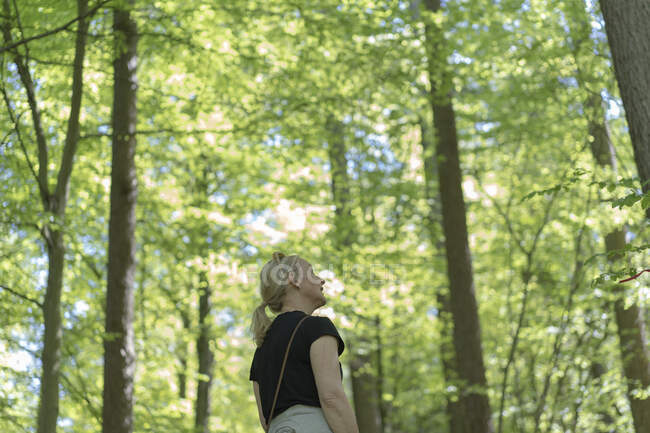 Donna nella foresta in estate — Foto stock