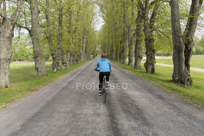 Woman cycling on rural road between trees — Foto stock