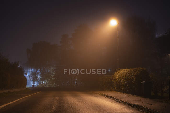 Уличное освещение и дорога ночью — стоковое фото