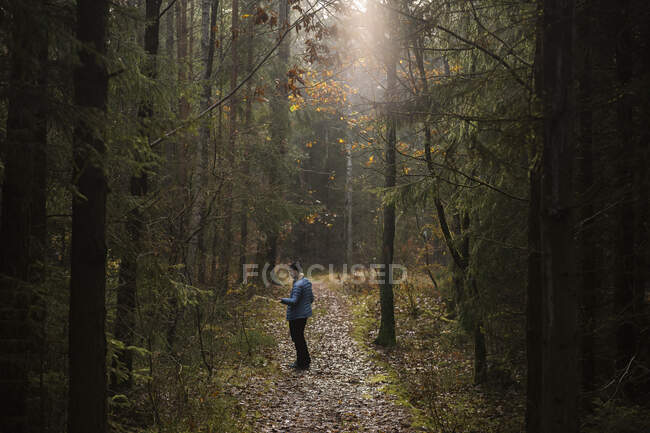 Женщина в походе в лесу — стоковое фото