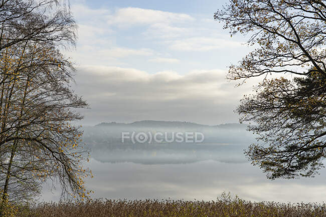 Scenic view of Trees by lake — Stockfoto