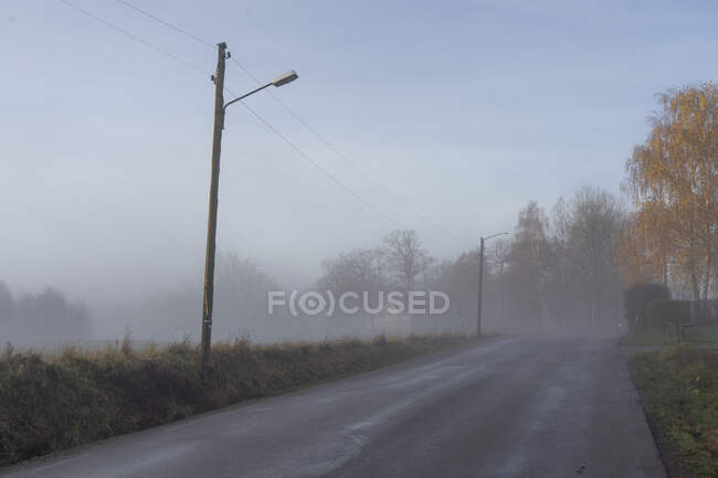 Linhas elétricas por estrada rural sob nevoeiro — Fotografia de Stock