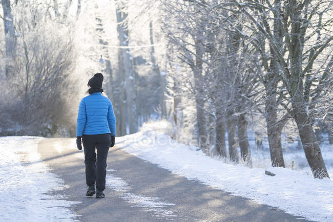 Mujer caminando en el bosque nevado - foto de stock