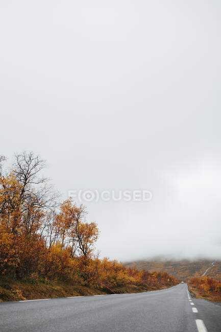 Carretera por bosque de otoño - foto de stock
