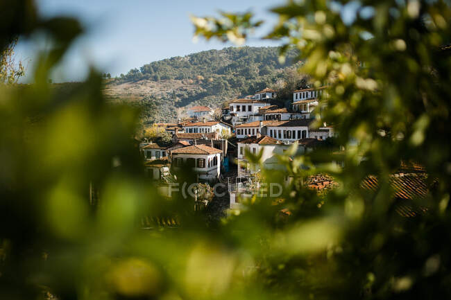 Maisons derrière les arbres à Marmaris, Turquie — Photo de stock