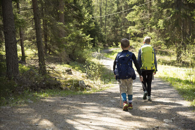 Boys hiking on trail through forest in Domarudden Nature Reserve, Sweden — Stock Photo