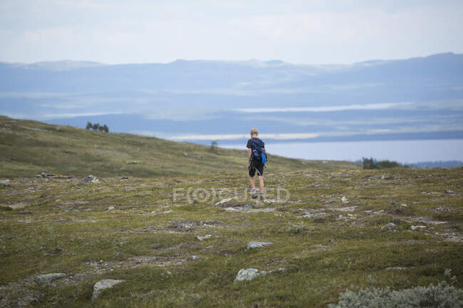Garçon marchant dans le champ à Storulvan, Suède — Photo de stock
