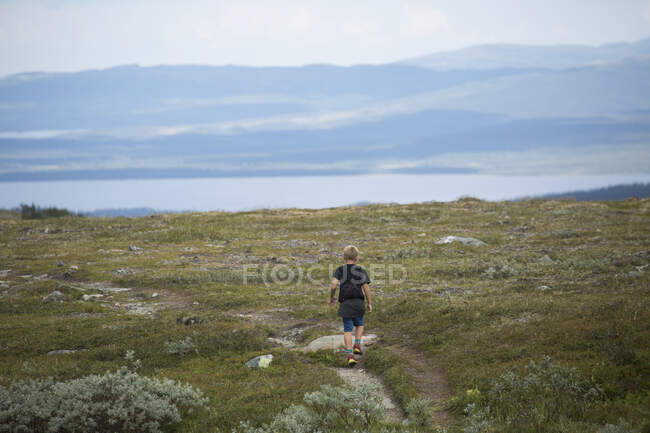 Boy walking in field in Storulvan, Sweden — Foto stock