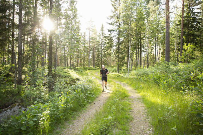 Mature man jogging on trail through forest — Stockfoto