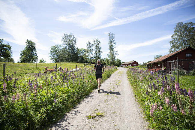 Mature man jogging on trail by farm — Stock Photo