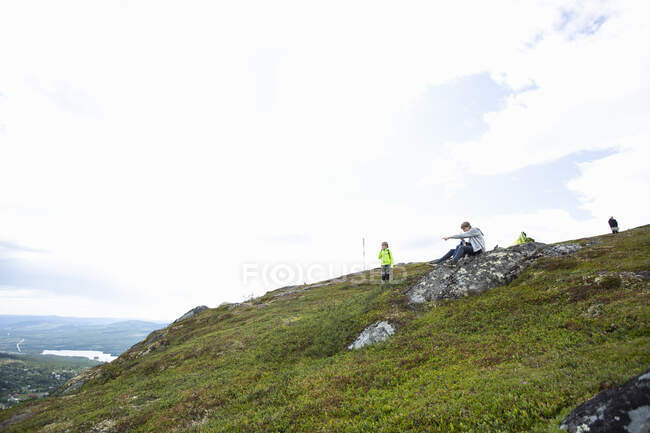 Мальчики на холме летом — стоковое фото