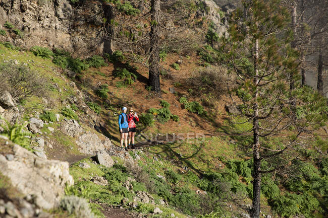 Women hiking on mountain - foto de stock
