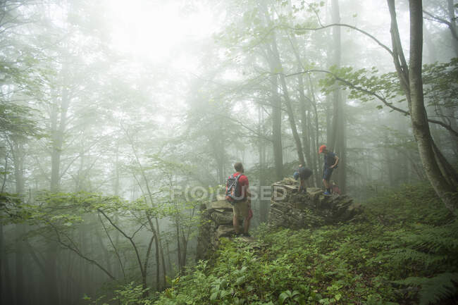 Senderismo familiar en el bosque durante la niebla - foto de stock