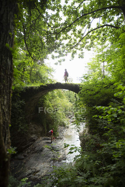 Femme debout sur le pont dans la forêt — Photo de stock