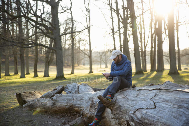 Чоловік використовує смартфон, сидячи на падаючому дереві під час заходу сонця — стокове фото