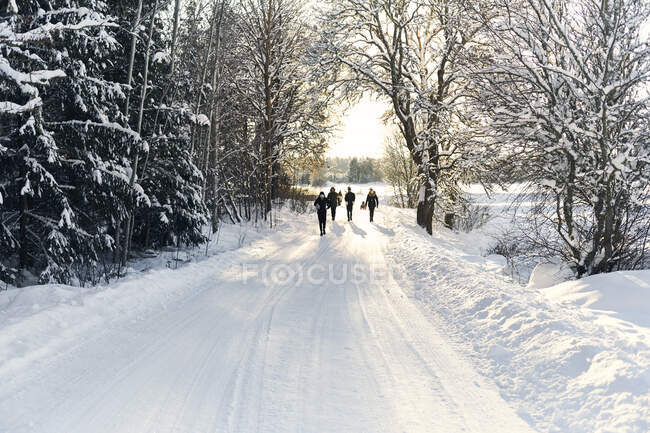People walking on snow covered road between trees — Stockfoto