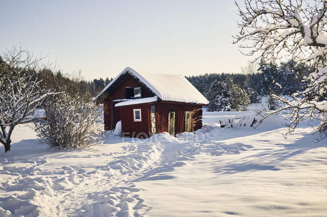 Casa rossa nella neve da alberi nudi — Foto stock