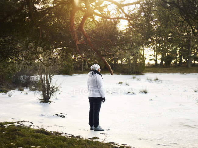 Жінка стоїть на снігу біля дерев — стокове фото
