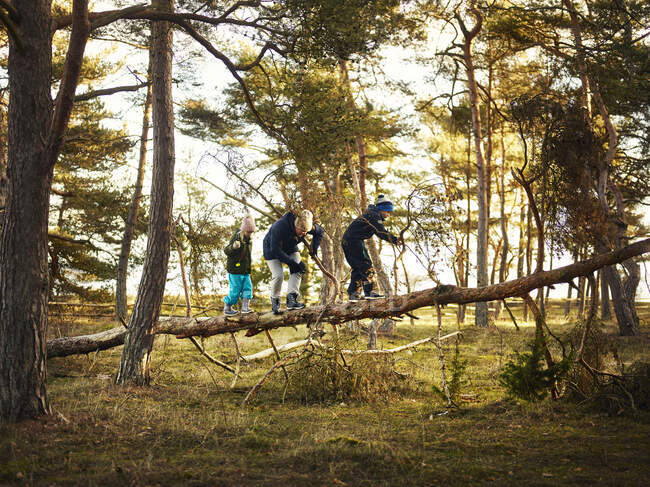 Mother and children climbing tree — Stockfoto