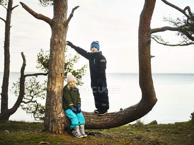 Brother and sister on tree by sea — Fotografia de Stock