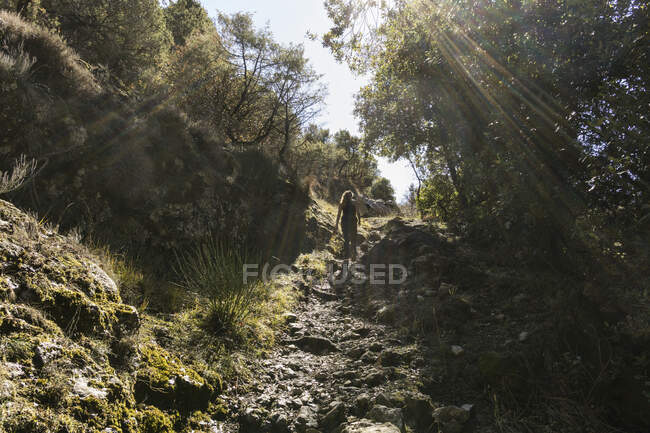 Женщина ходит по скалам между деревьями в Лазурном Берегу, Франция — стоковое фото