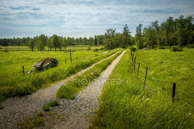 Сільська дорога за полем — стокове фото
