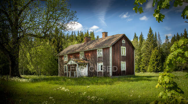 Vista panorâmica da cabana na floresta — Fotografia de Stock