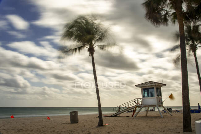 Estação de salva-vidas e palmeiras na praia em Fort Lauderdale, Flórida — Fotografia de Stock