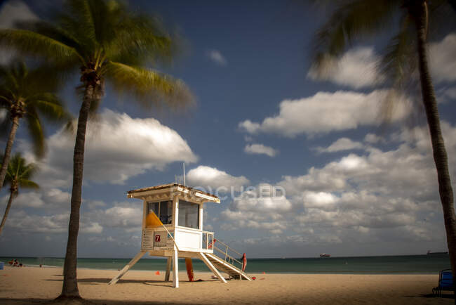 Lifeguard station and palm trees on beach in Fort Lauderdale, Florida — Stock Photo