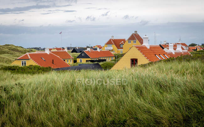 Casas em colina gramada — Fotografia de Stock
